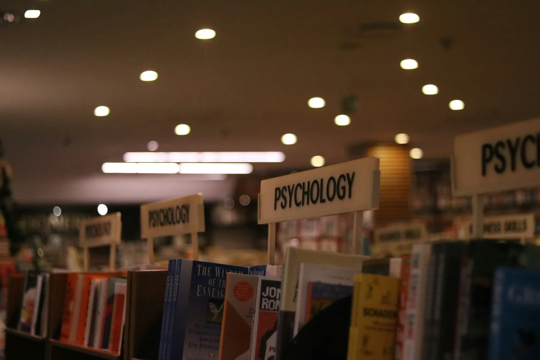 Shelves of books under subject signs in a public library